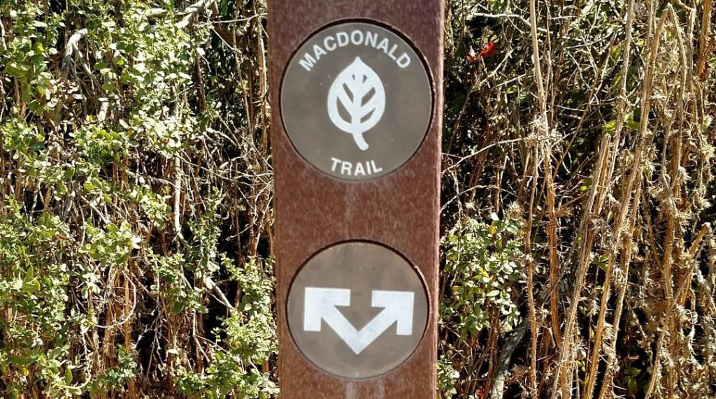 Trailhead sign.
MacDonald Trail.
Leaf icon (San Mateo County Parks).
Forked arrow direction.